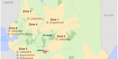 Kenija instituto geodezijos ir kartografavimo kursai